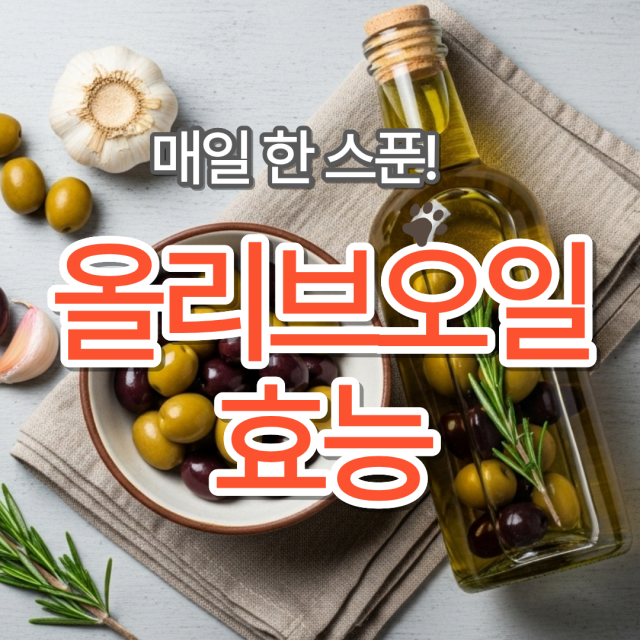 매일 한 스푼! 올리브오일이 몸에 주는 놀라운 변화